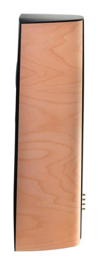 Audiotechnica Aq Canto 5 Buk