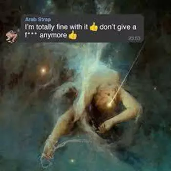 I'm Totally Fine With It Don't Give A Fuck Anymore