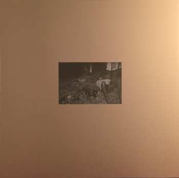 LP Arctic Monkeys: Humbug