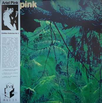 LP Ariel Pink's Haunted Graffiti: Odditties Sodomies Vol. 3