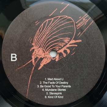 LP Ariel Pink's Haunted Graffiti: Odditties Sodomies Vol. 3