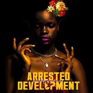 2LP Arrested Development: Don't Fight Your Demons