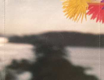 CD Arto Lindsay: Noon Chill