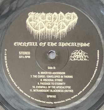 LP Ascended Dead: Evenfall Of The Apocalypse CLR