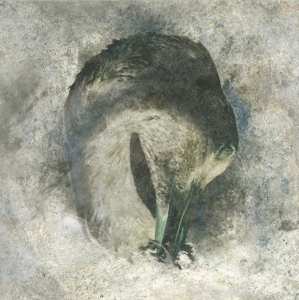 CD Suma: Ashes