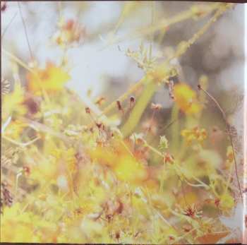 LP Ashley Monroe: Rosegold