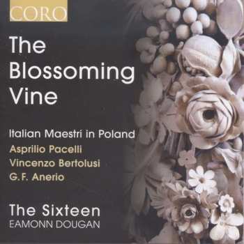 CD The Sixteen: The Blossoming Vine - Italian Maestri In Poland