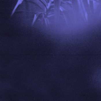Album Asra: Nocturnal Journey
