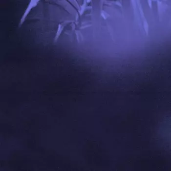Asra: Nocturnal Journey