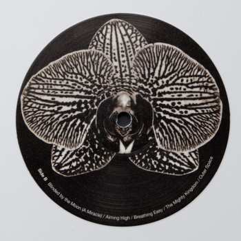 LP Assorted Orchids: Assorted Orchids CLR | LTD