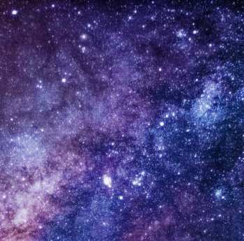 LP Assorted Orchids: Assorted Orchids CLR | LTD