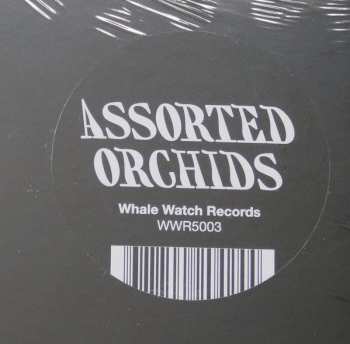 LP Assorted Orchids: Assorted Orchids CLR | LTD