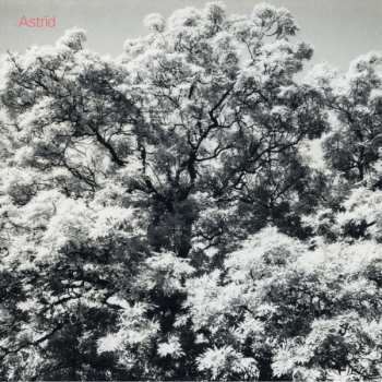 Album Astrïd: Always Digging The Same Hole