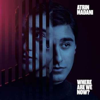 CD Atrin Madani: Where Are We Now?