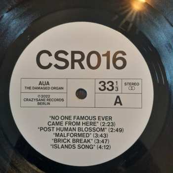 LP AUA: The Damaged Organ