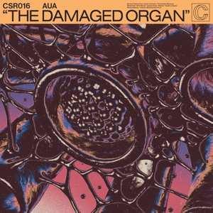 LP AUA: The Damaged Organ