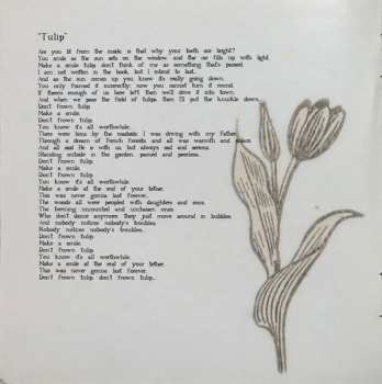 CD Augie March: Sunset Studies