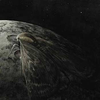 CD Augrimmer: Moth And The Moon