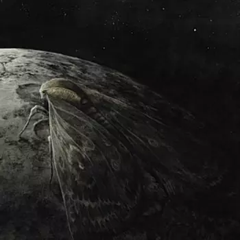 Augrimmer: Moth And The Moon