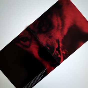 LP Augustus Muller: My Animal CLR | LTD