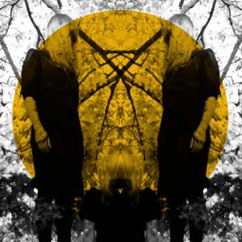 CD Austra: Feel It Break