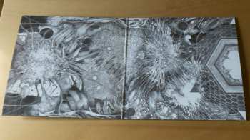 2LP Autarkh: Form In Motion LTD | CLR