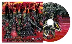 CD Autopsy: Puncturing The Grotesque