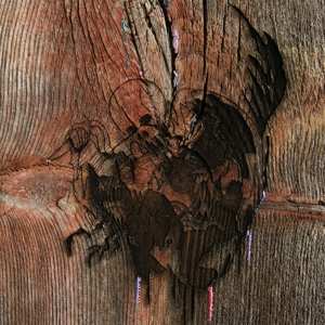 CD Avey Tare's Slasher Flicks: Enter The Slasher House