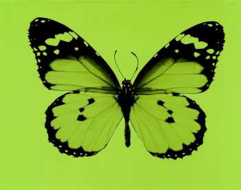 CD Ayumi Hamasaki: Ayu-mi-x III Acoustic Orchestra Version