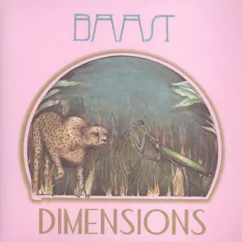 Baast: Dimensions