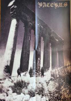 LP Bacchus: II CLR | LTD