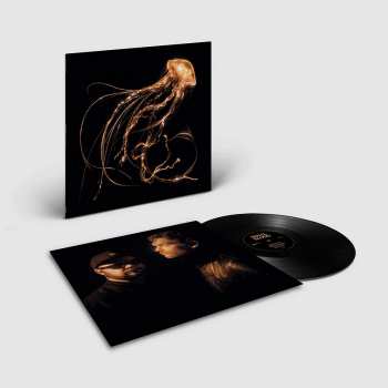 LP Royal Blood: Back To The Water Below