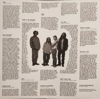 LP Bad Brains: Rise