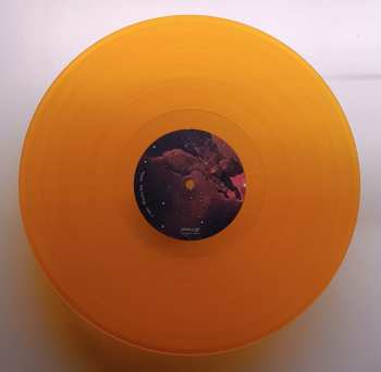 LP Bask: The Turning CLR | LTD