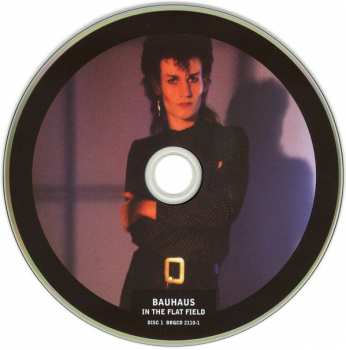 5CD/Set di cofanetti Bauhaus: 5 Albums