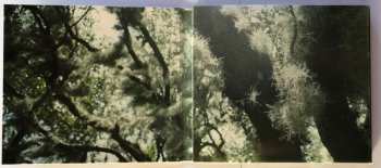 CD Bellamy Brothers: The Greatest Hits Sessions