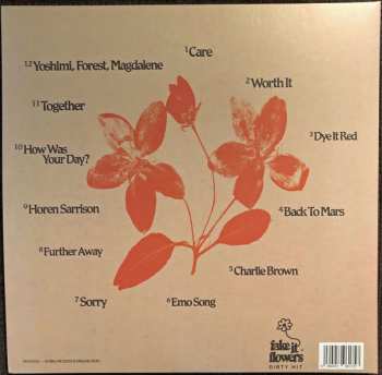 LP beabadoobee: Fake It Flowers