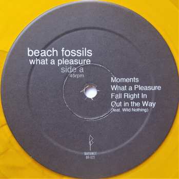 LP Beach Fossils: What A Pleasure LTD | CLR