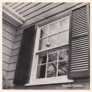 LP Beach Fossils: What A Pleasure LTD | CLR