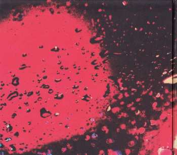 CD Bear's Den: Red Earth & Pouring Rain