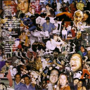 2LP Beastie Boys: Check Your Head
