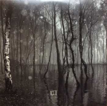 4LP/Set di cofanetti Kate Bush: Before The Dawn
