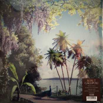 LP Beirut: Gallipoli CLR | LTD