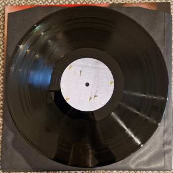 LP bela: Noise and Cries 굉음과 울음