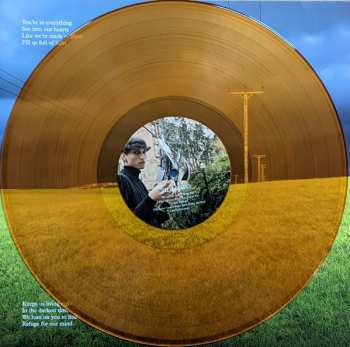 LP Belle & Sebastian: Late Developers LTD | CLR