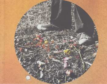 CD Ben Arnold: Calico