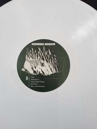 LP Bend The Future: Sounds So Wrong CLR | LTD