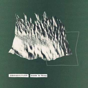 LP Bend The Future: Sounds So Wrong CLR | LTD
