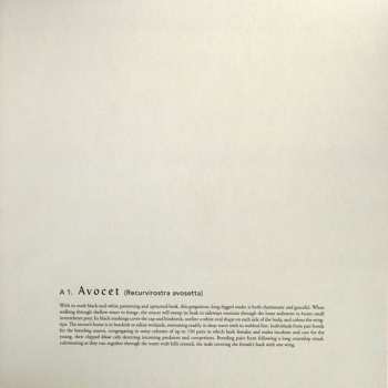 LP Bert Jansch: Avocet LTD