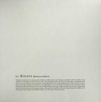 LP Bert Jansch: Avocet LTD
